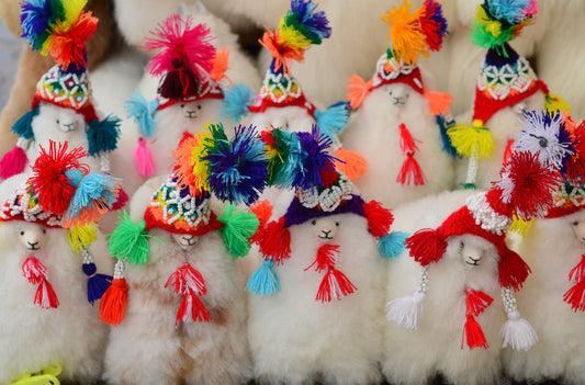 What Are The Disadvantages of Alpaca Wool? (With Solutions)