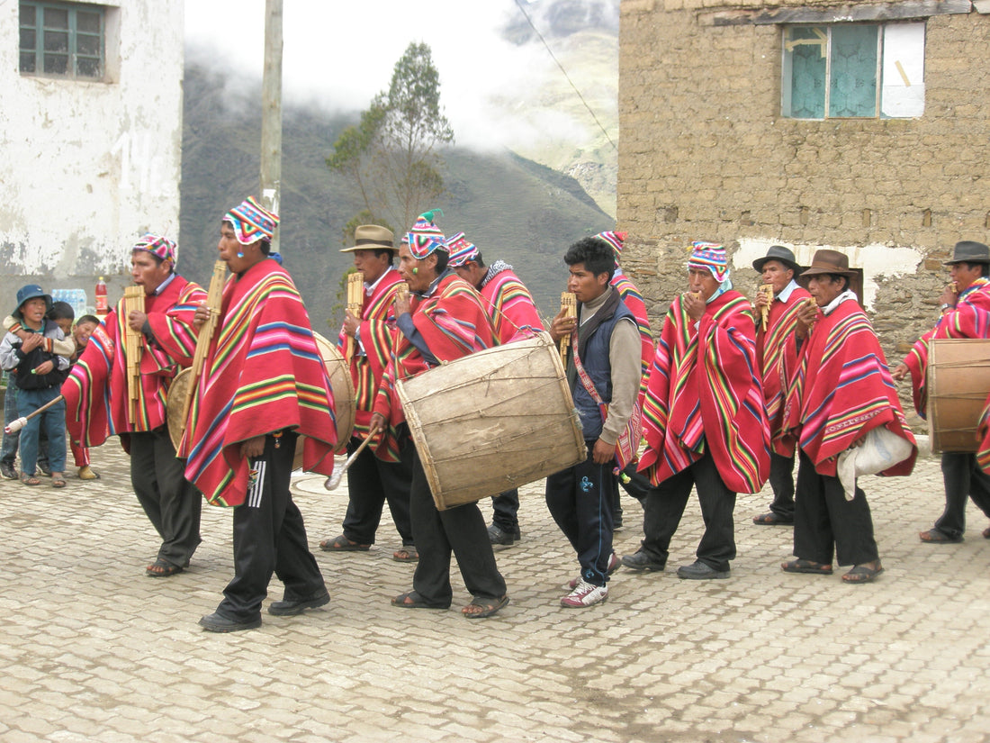 Does Alpaca Farming Support Indigenous People In Andean Countries?