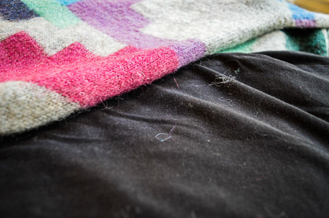 Does Alpaca Wool Shed? (Causes, Prevention and Solutions)