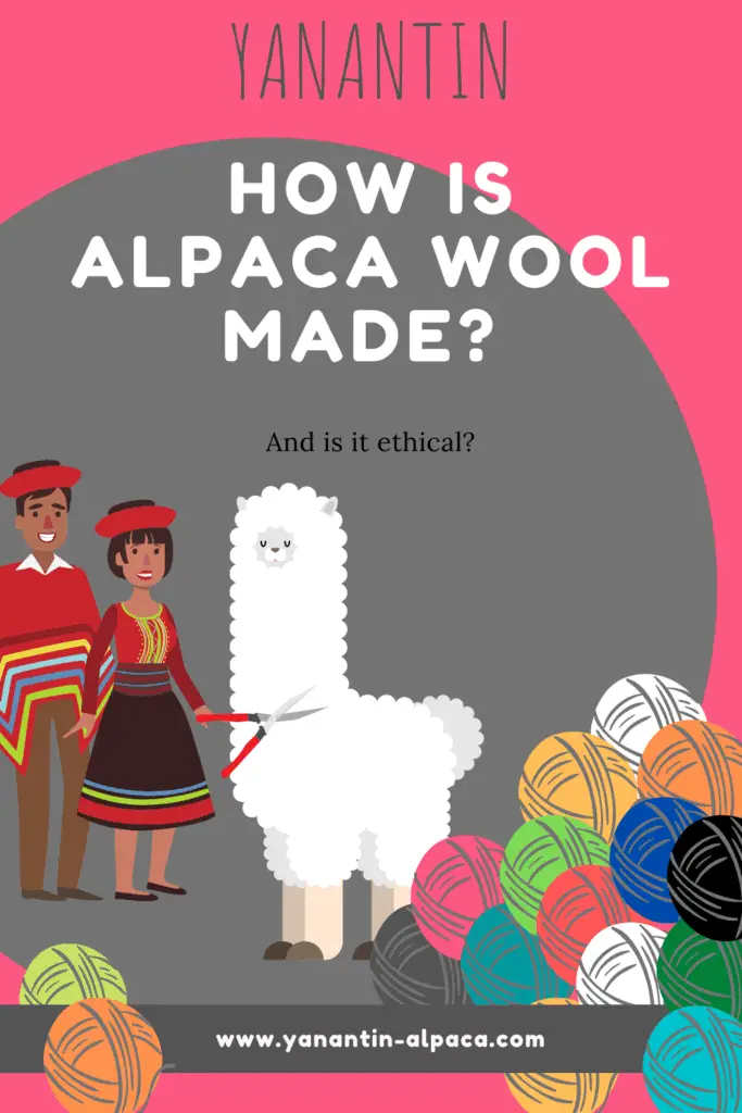 How Is Alpaca Wool Made And Is It Ethical Yanantin Alpaca